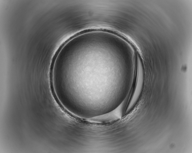 X0000099420943200805161042
