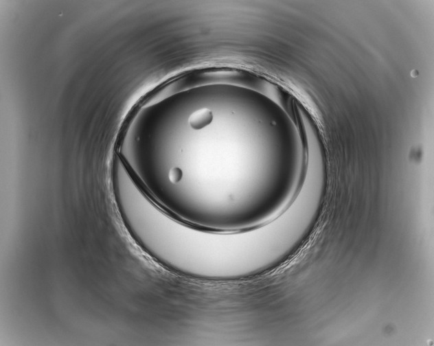 X0000099420944200805161042