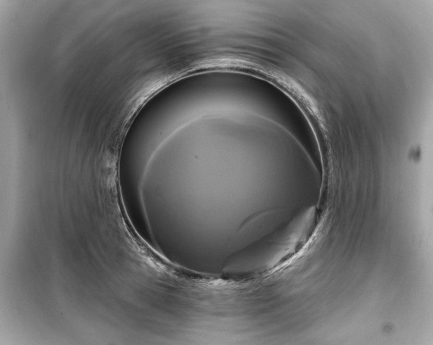 X0000099420945200805161042