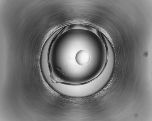 X0000099420946200805161042