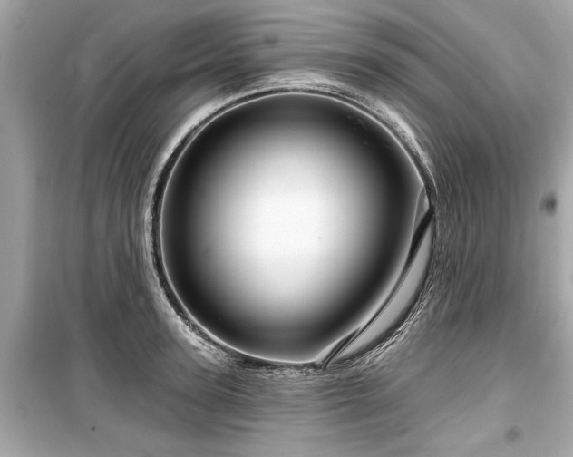 X0000099420947200805161042