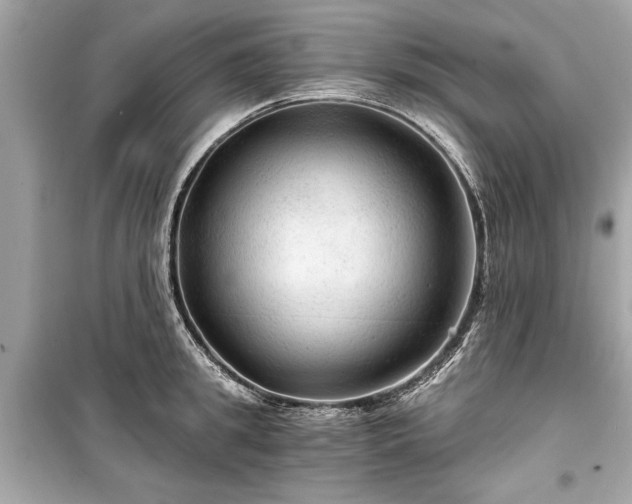 X0000099420949200805161042