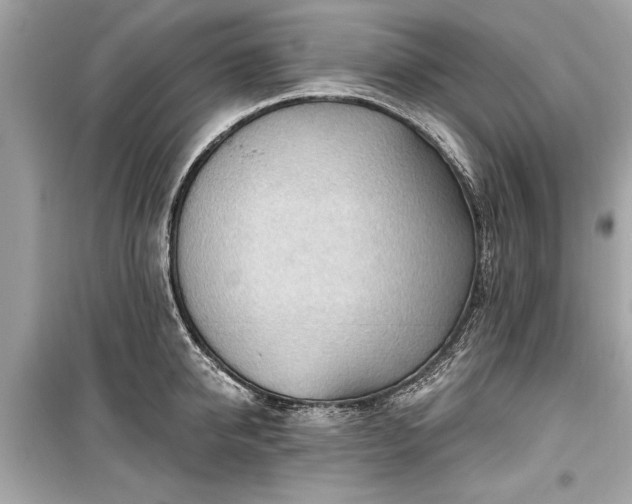 X0000099420950200805161042