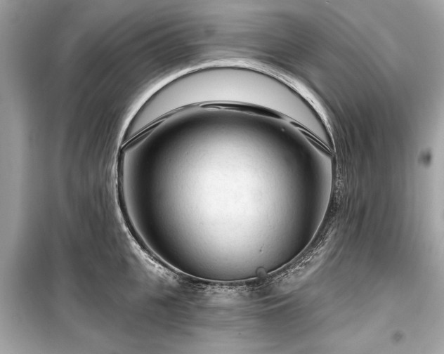 X0000099420951200805161042