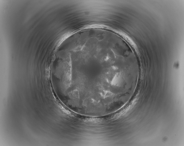 X0000099420953200805161042