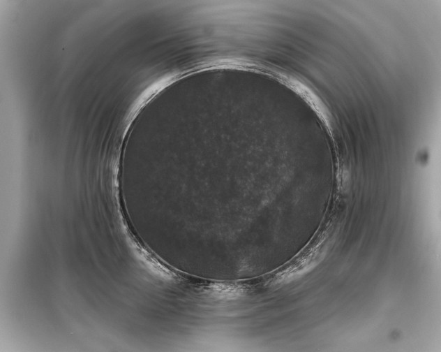 X0000099420954200805161042