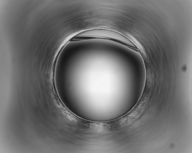 X0000099420956200805161042