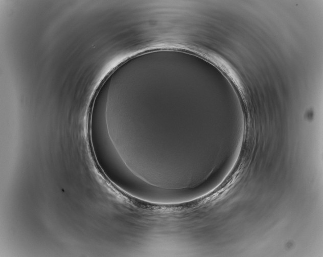 X0000099420958200805161042
