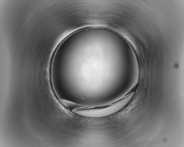 X0000099420959200805161042
