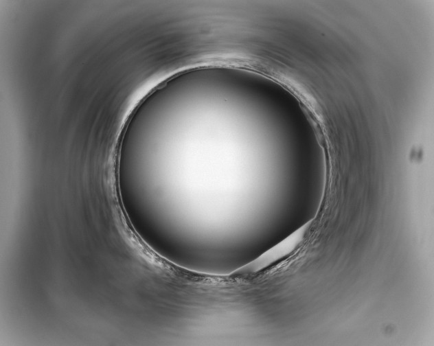 X0000099420960200805161042