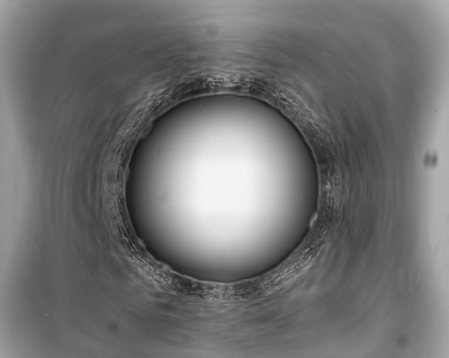 X0000099420961200805161042