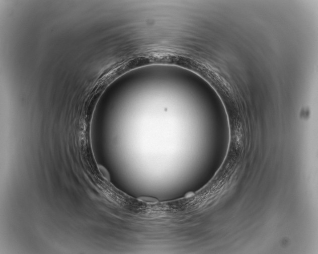 X0000099420964200805161042