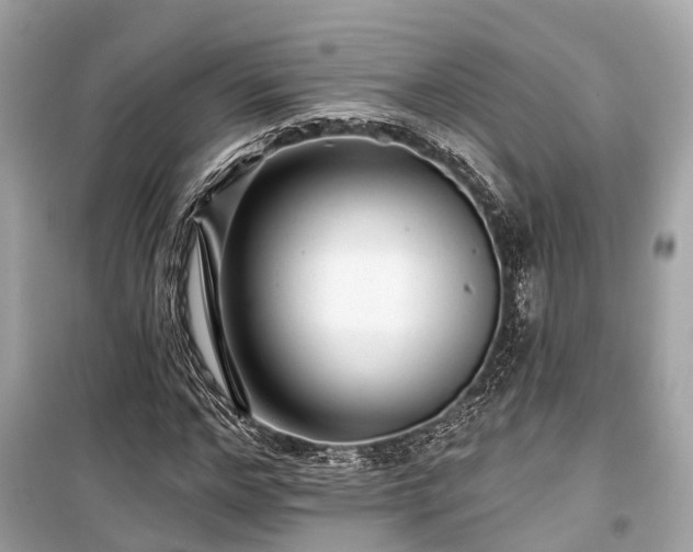 X0000099420968200805161042