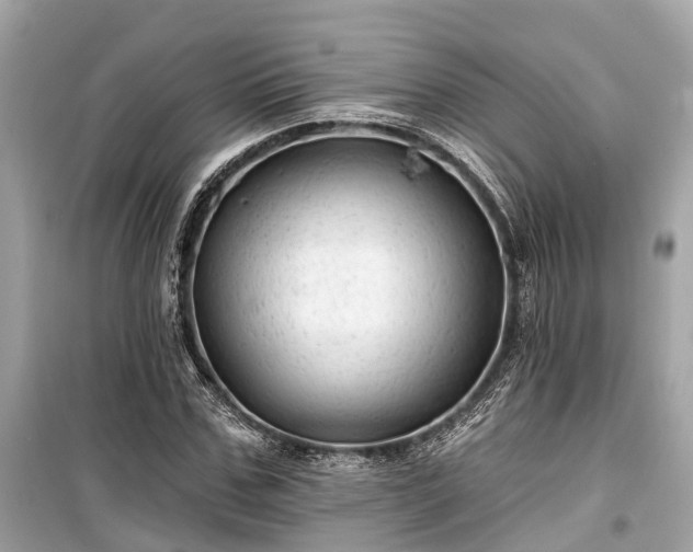 X0000099420971200805161042