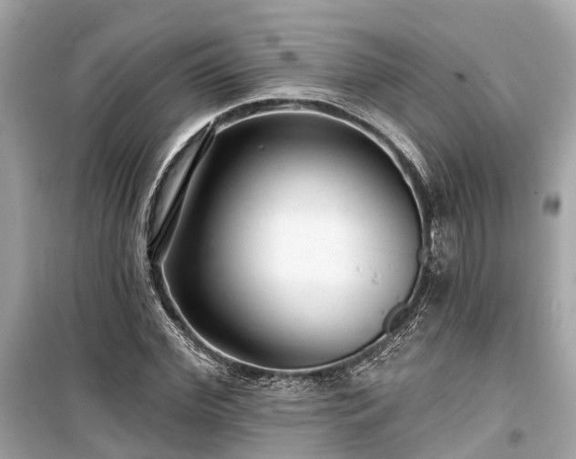 X0000099420972200805161042