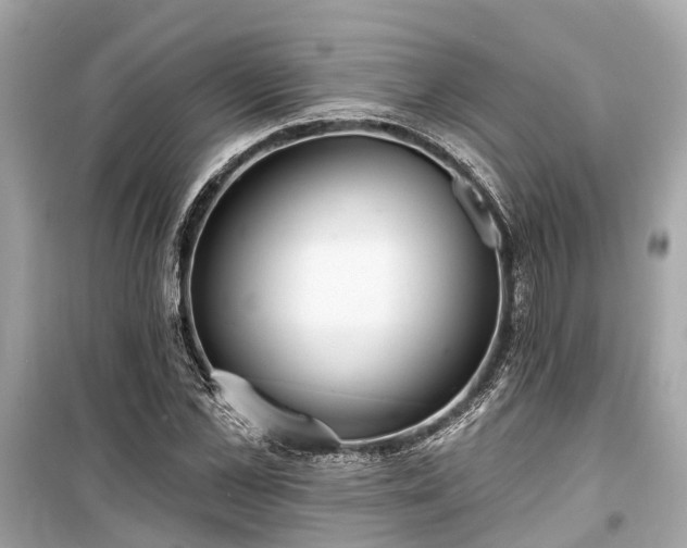 X0000099420973200805161042
