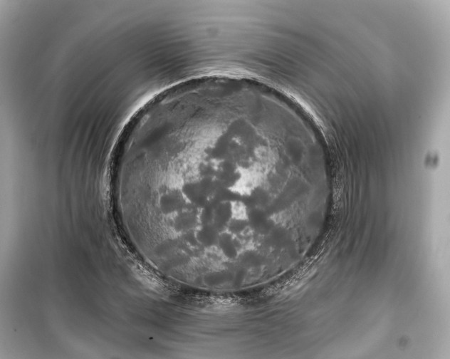 X0000099420975200805161042