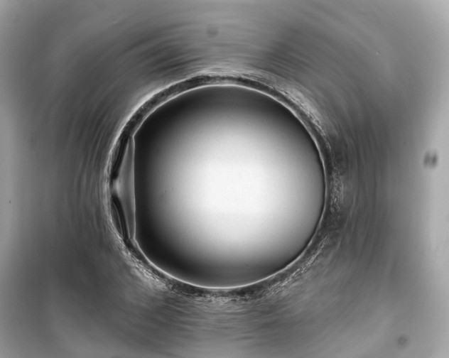 X0000099420976200805161042