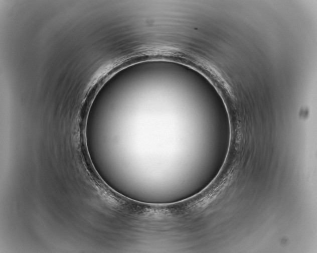 X0000099420978200805161042