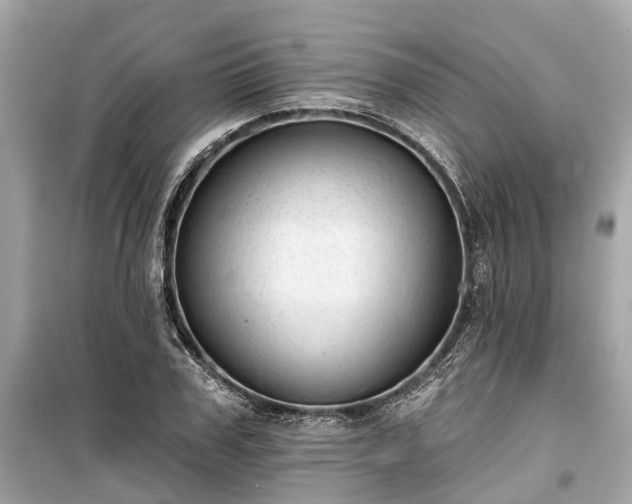 X0000099420979200805161042