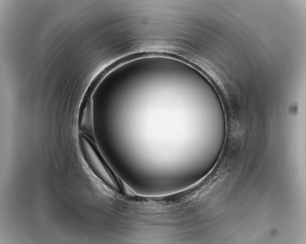 X0000099420980200805161042