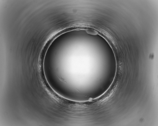 X0000099420981200805161042