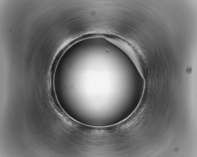 X0000099420982200805161042