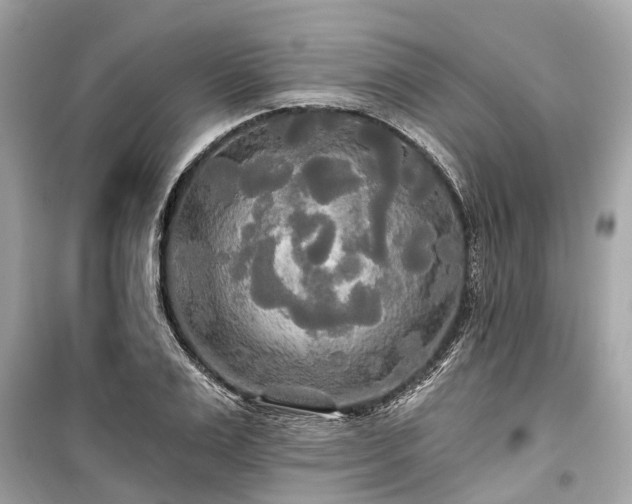 X0000099420983200805161041