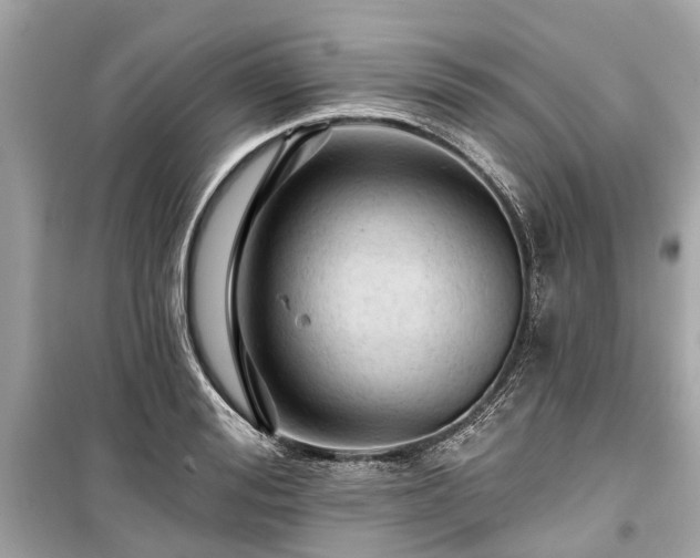 X0000099420988200805161041