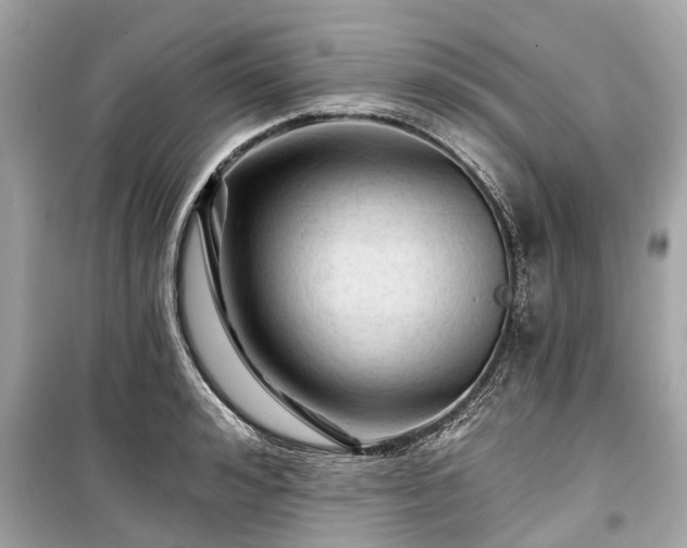 X0000099420992200805161041