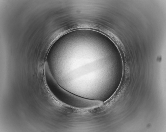 X0000099420993200805161041
