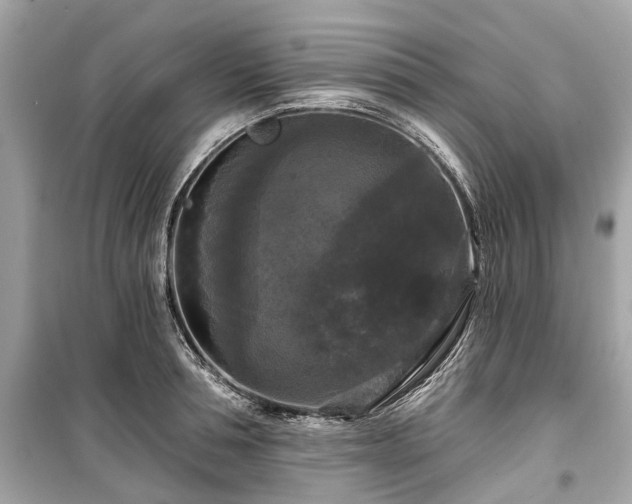X0000099420994200805161041