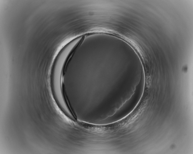 X0000099420995200805161041