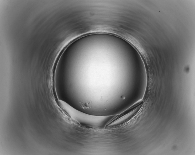 X0000099420996200805161041