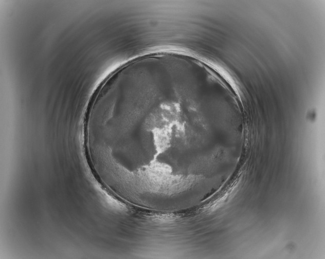 X0000099420999200805161041
