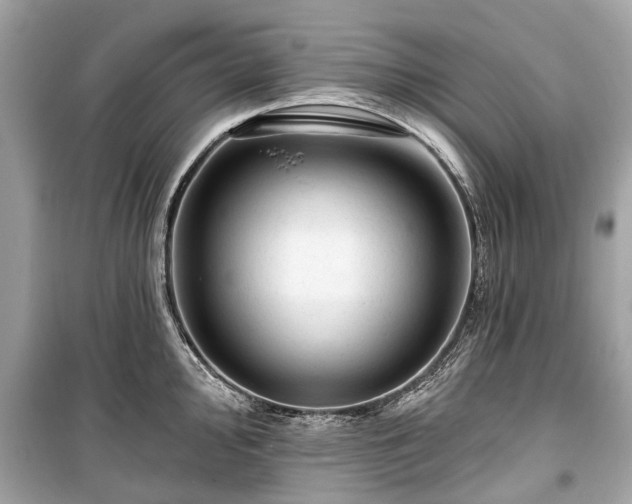 X0000099421000200805161041