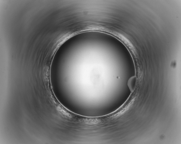X0000099421001200805161041