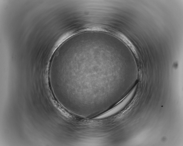 X0000099421002200805161041