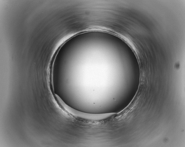 X0000099421003200805161041