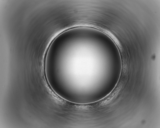 X0000099421004200805161041