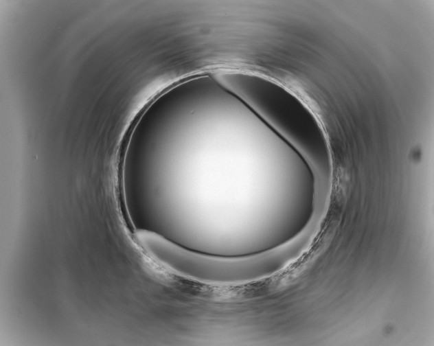 X0000099421005200805161041