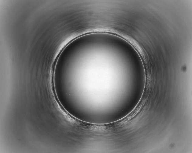 X0000099421006200805161041