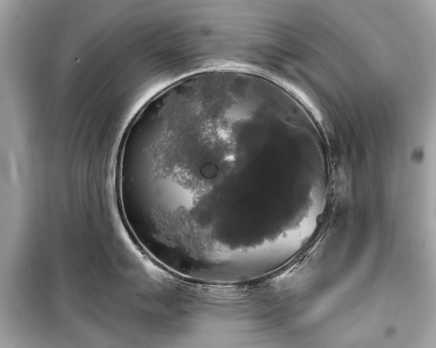 X0000099421007200805161041