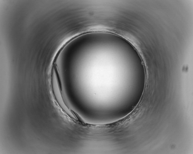 X0000099421008200805161041