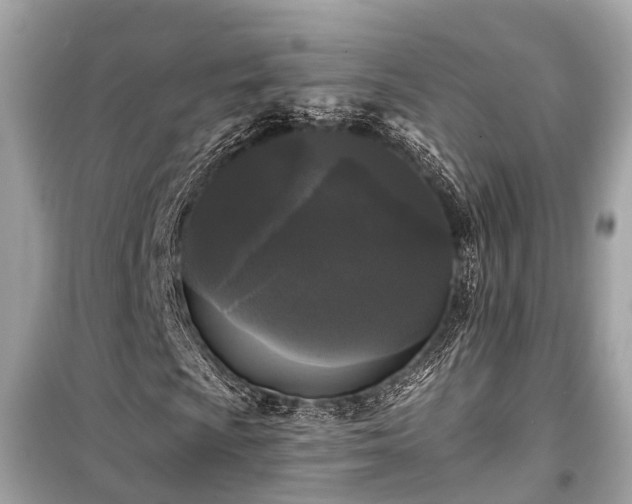 X0000099421009200805161040