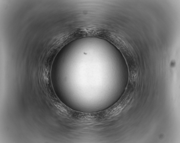 X0000099421010200805161040