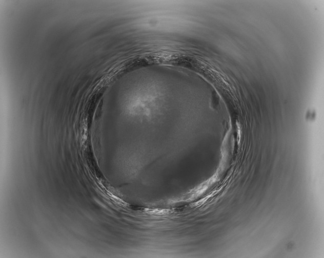 X0000099421011200805161040