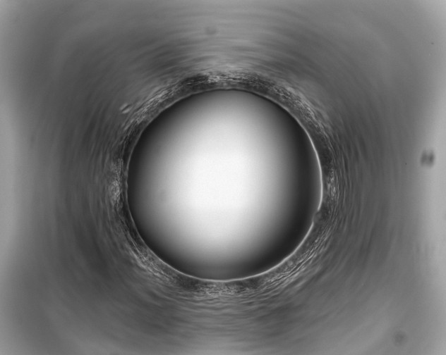 X0000099421012200805161040