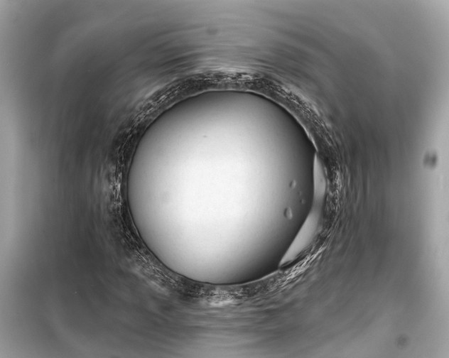 X0000099421013200805161040