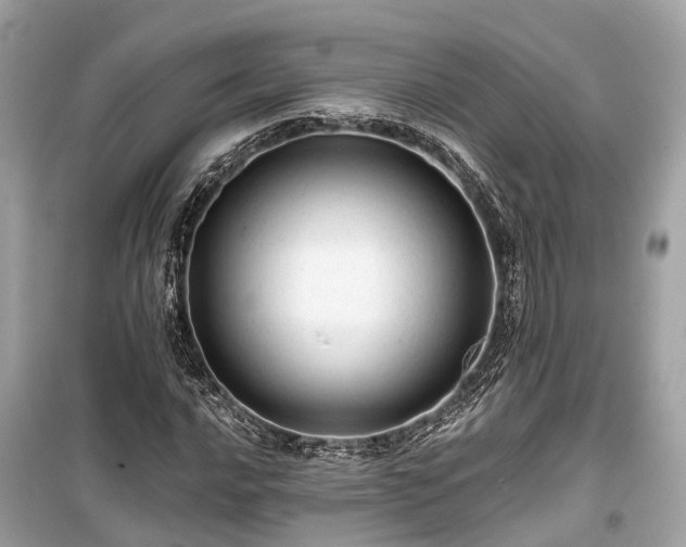 X0000099421016200805161041